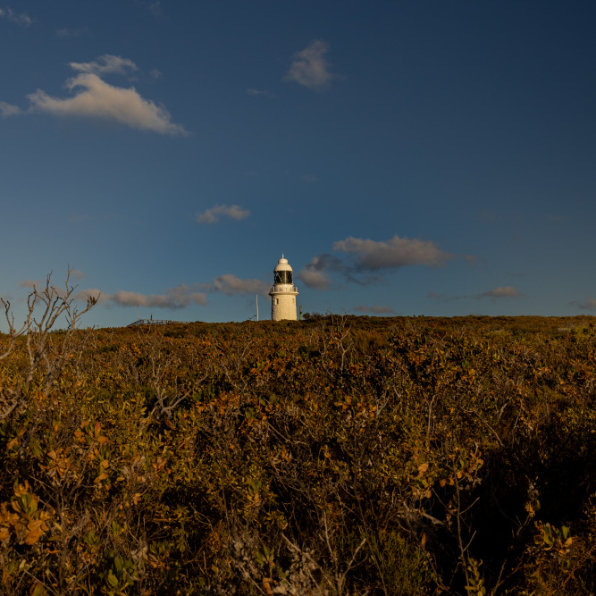 Cape Naturalist Lighthouse