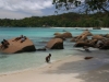 Praslin - Anse Lazio