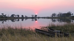 delta Okawango