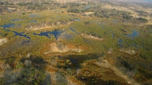 let nad Okawango