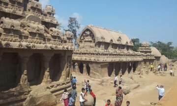 20140131_121551.jpg image