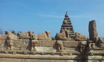 20140131_142809.jpg image