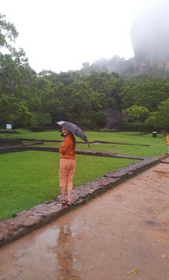 20141222_090430.jpg image