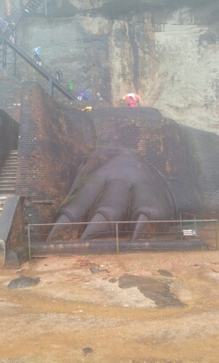 20141222_101135.jpg image