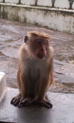 20141222_141923.jpg image