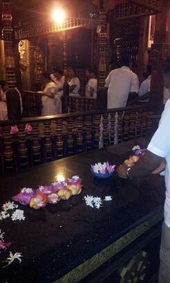 20141223_060020.jpg image