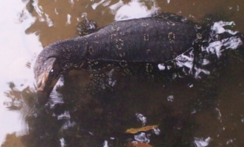 20141223_070630.jpg image