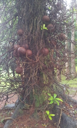 20141223_101656.jpg image