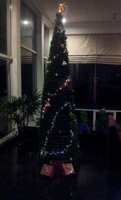 20141224_183645.jpg image