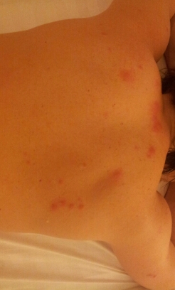 20141224_192640.jpg image